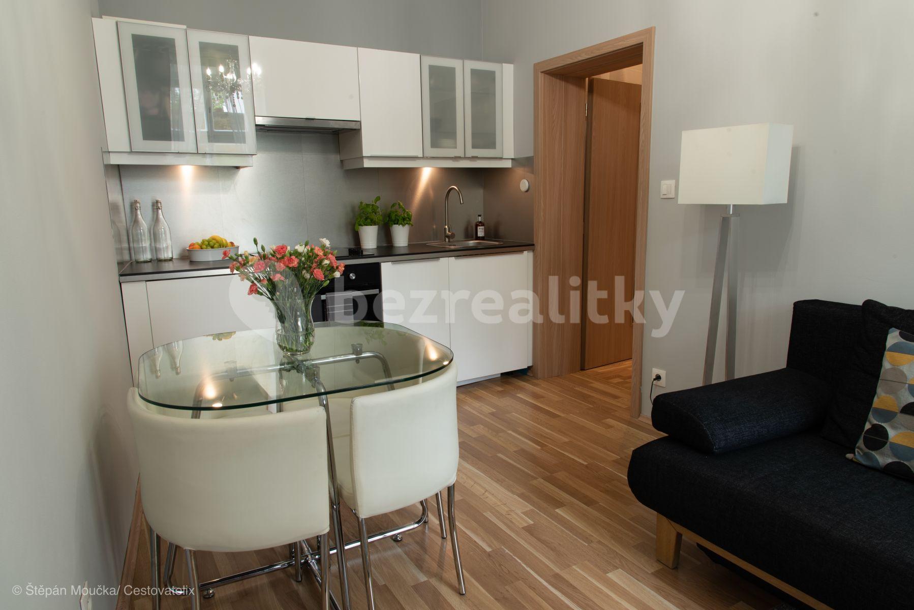 1 bedroom with open-plan kitchen flat to rent, 35 m², Varšavská, Prague, Prague