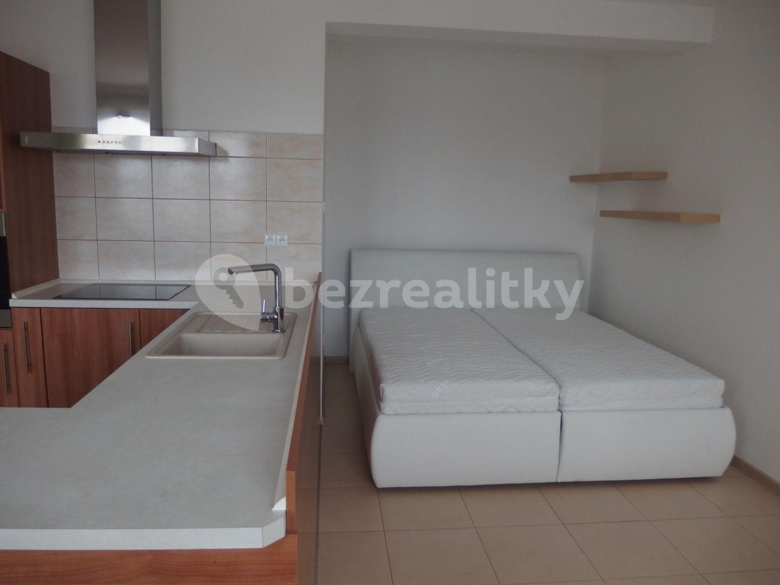 Studio flat to rent, 45 m², A. Trägera, České Budějovice, Jihočeský Region