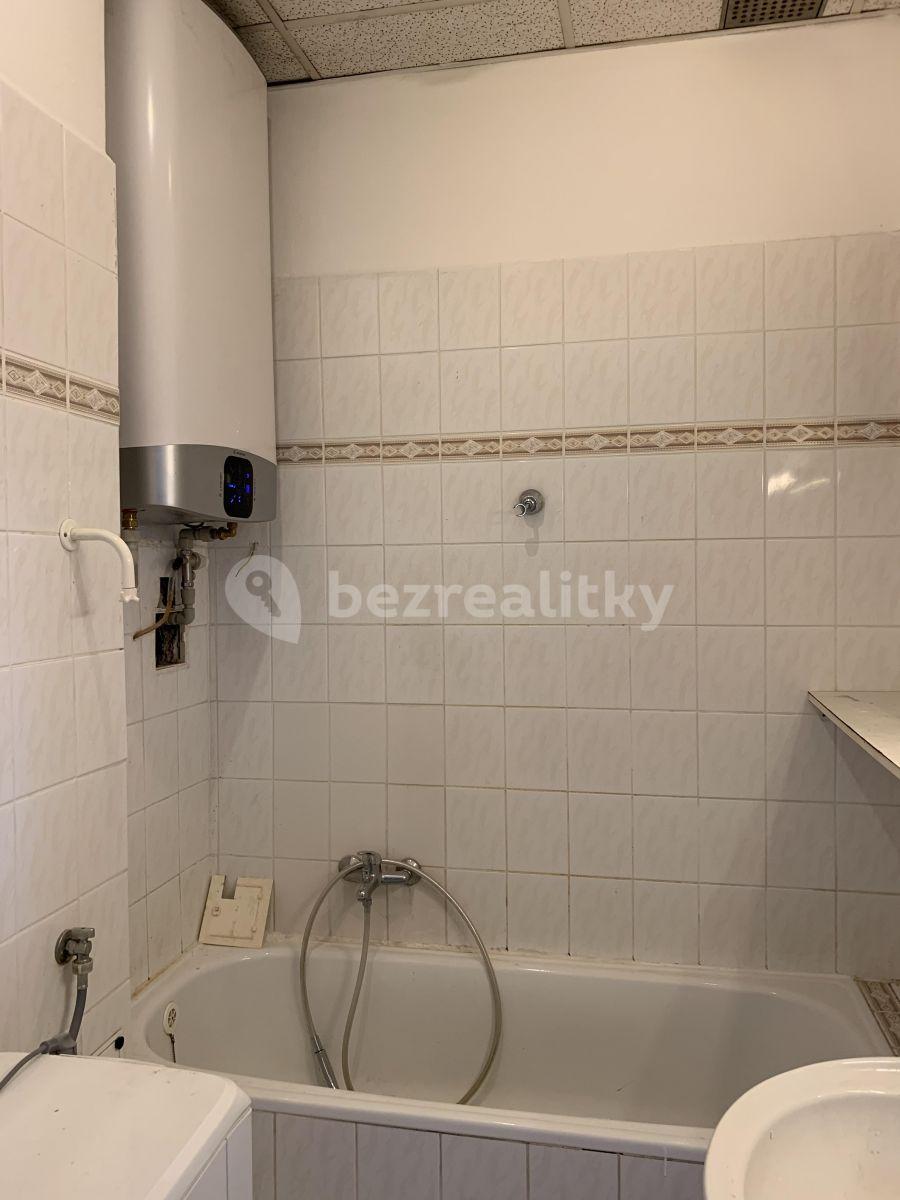 1 bedroom flat to rent, 39 m², Sdružení, Prague, Prague