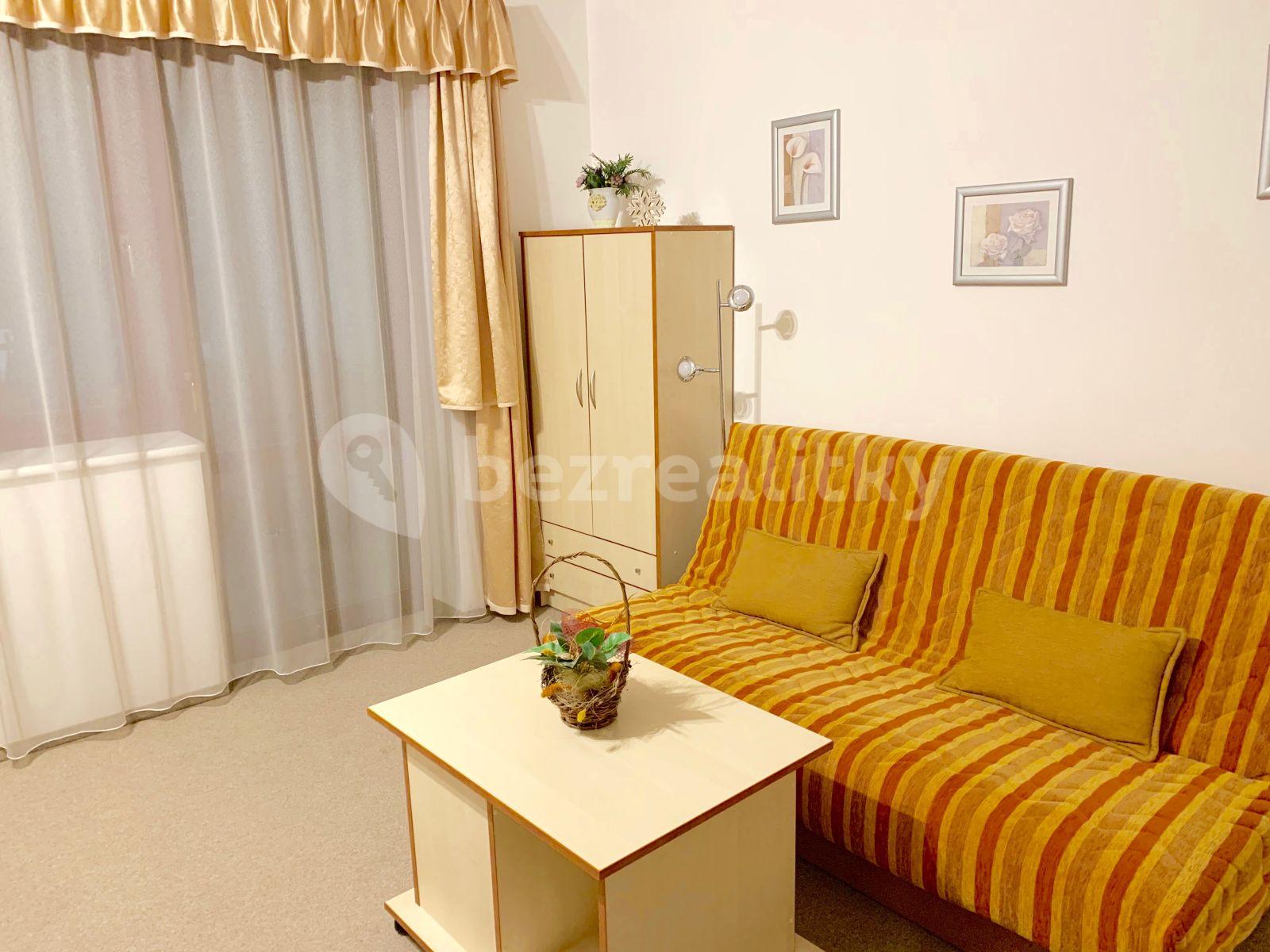 Studio flat to rent, 38 m², Bedřichov, Špindlerův Mlýn, Královéhradecký Region