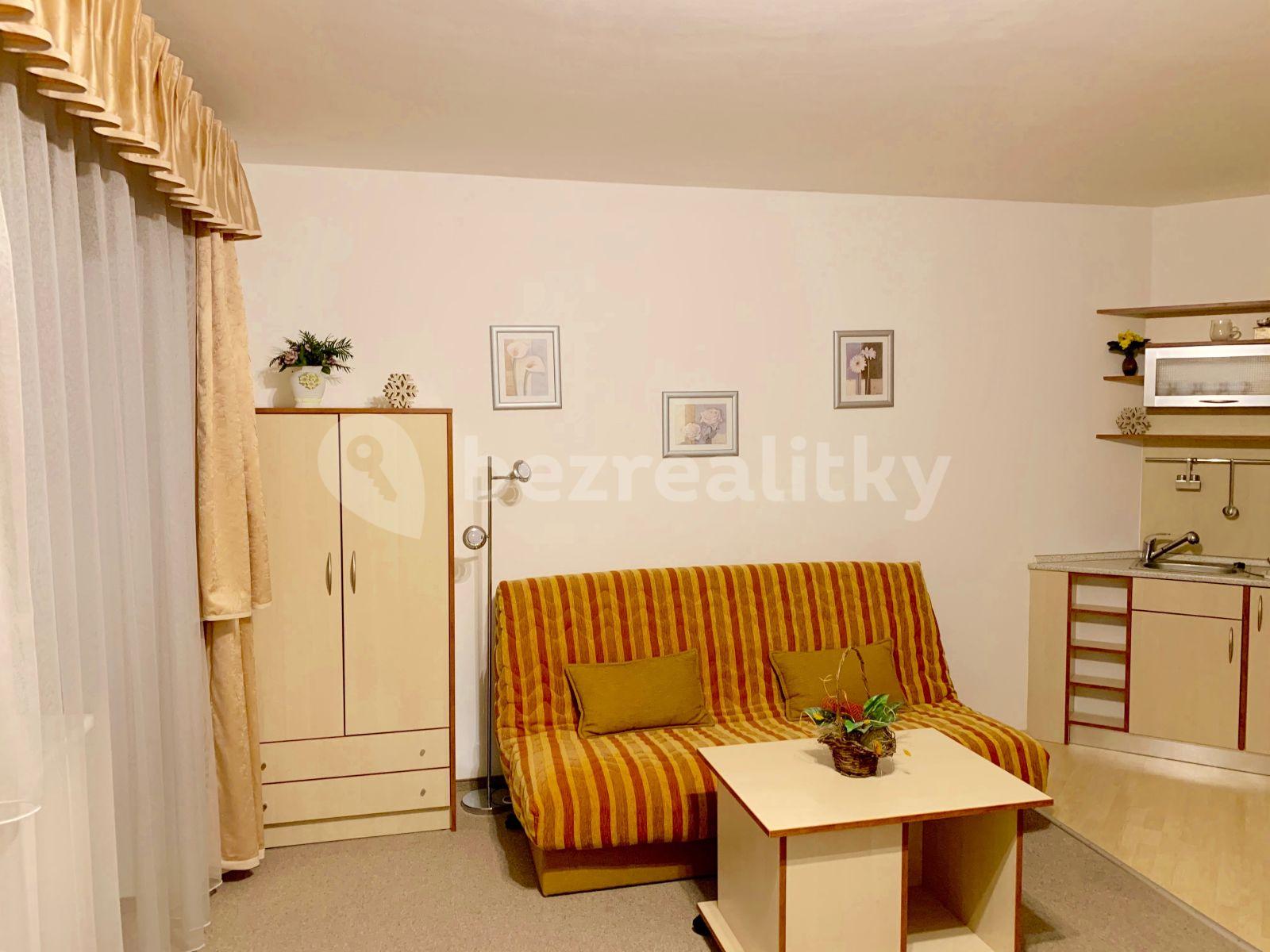 Studio flat to rent, 38 m², Bedřichov, Špindlerův Mlýn, Královéhradecký Region