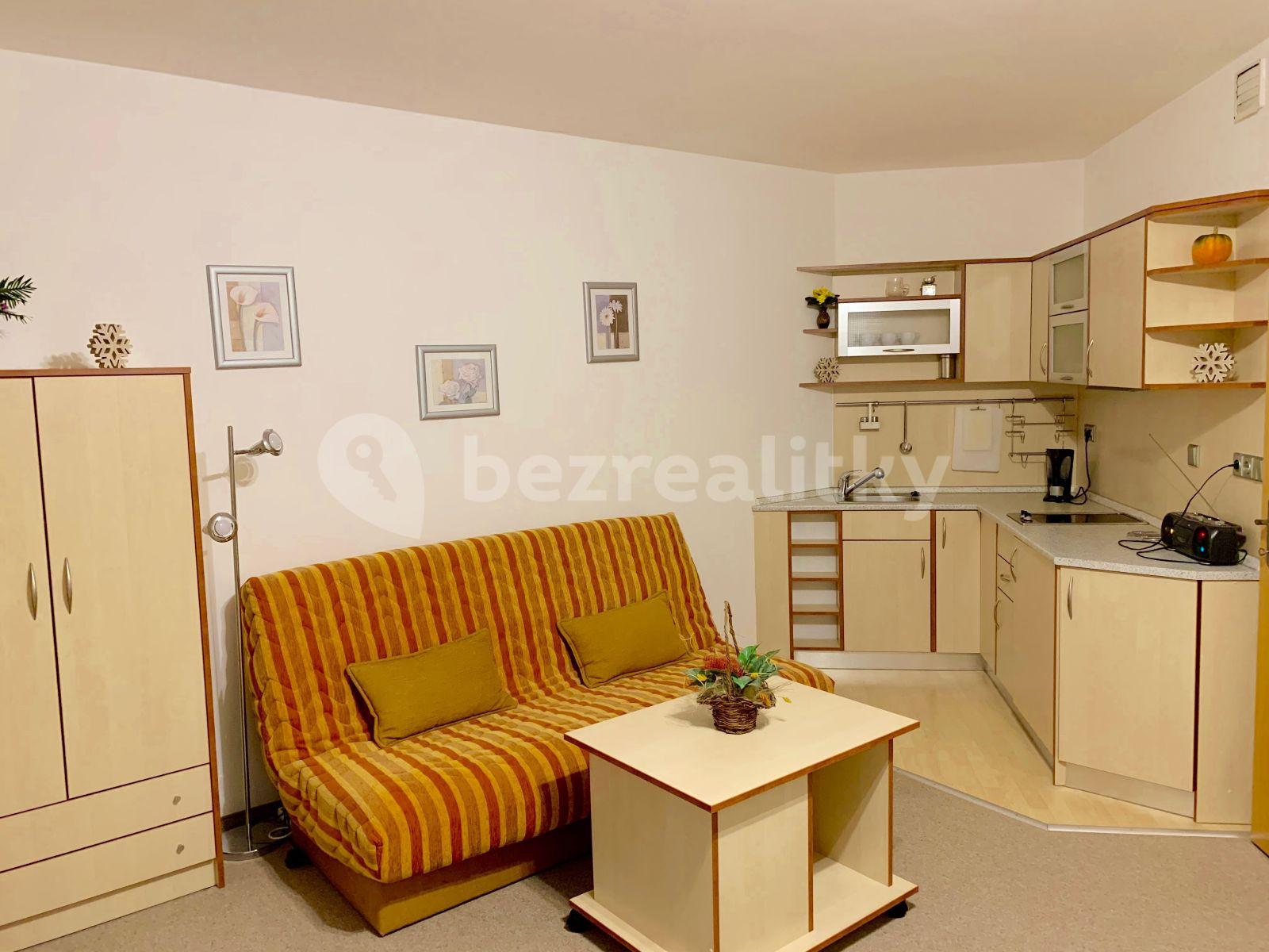 Studio flat to rent, 38 m², Bedřichov, Špindlerův Mlýn, Královéhradecký Region