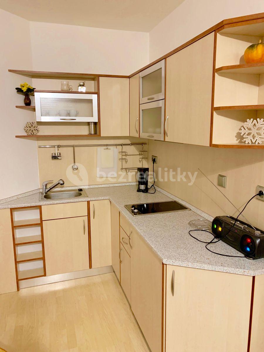 Studio flat to rent, 38 m², Bedřichov, Špindlerův Mlýn, Královéhradecký Region