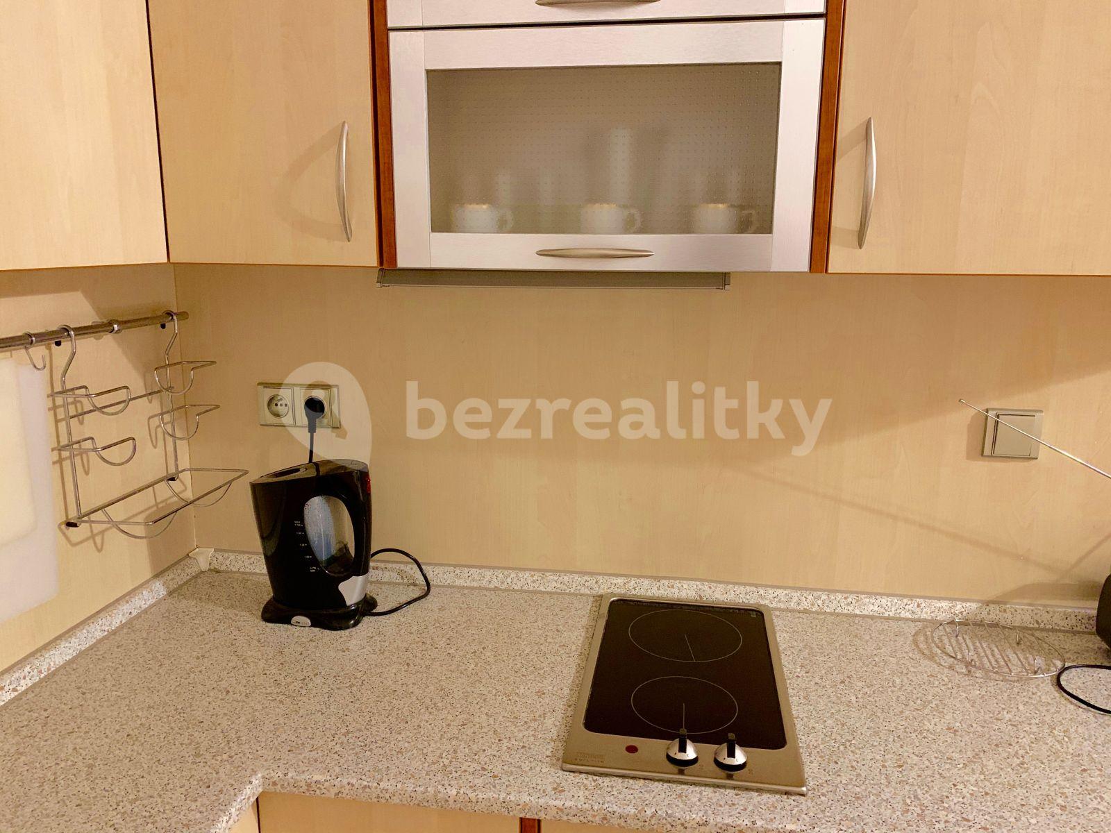 Studio flat to rent, 38 m², Bedřichov, Špindlerův Mlýn, Královéhradecký Region