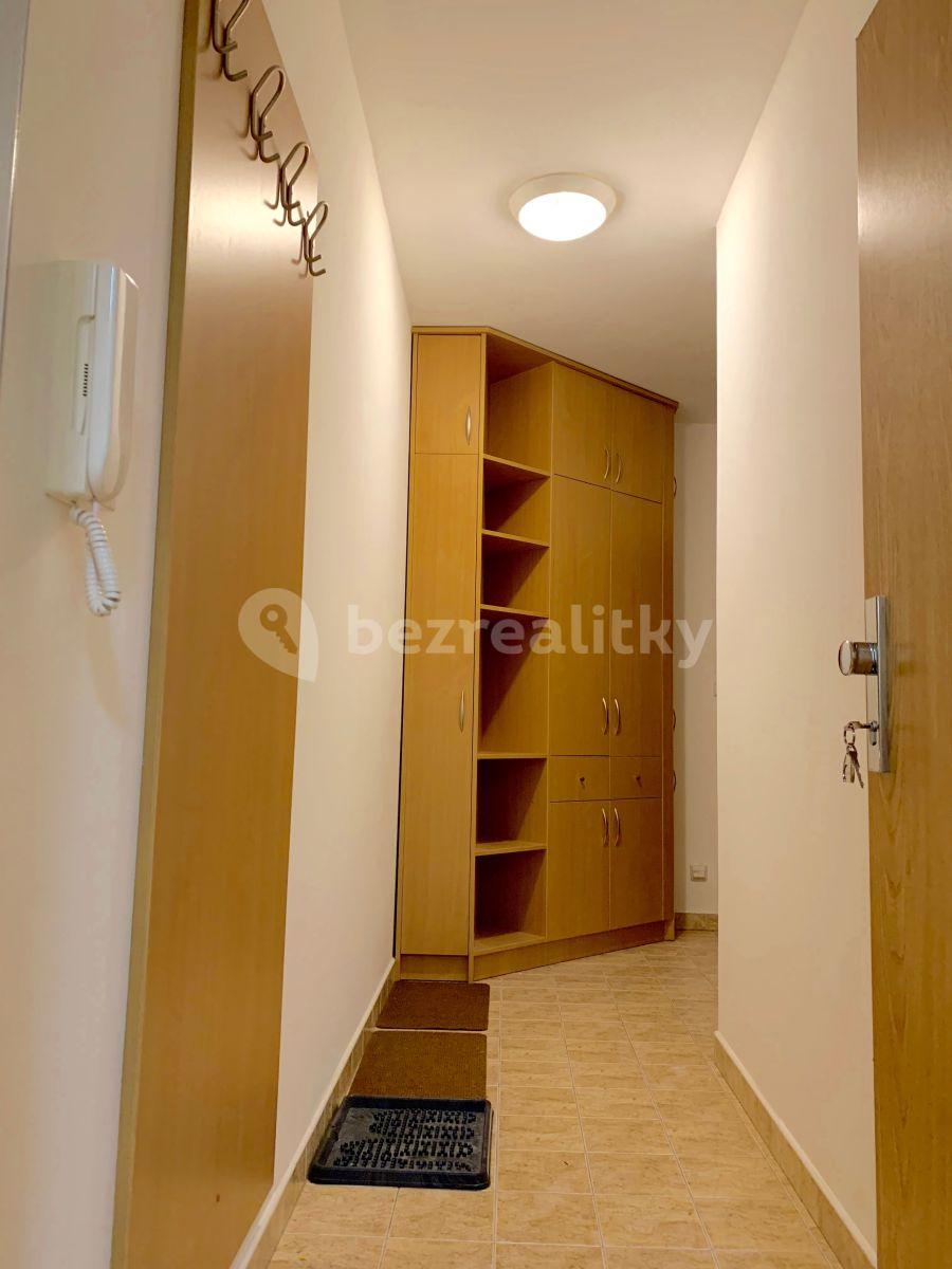 Studio flat to rent, 38 m², Bedřichov, Špindlerův Mlýn, Královéhradecký Region