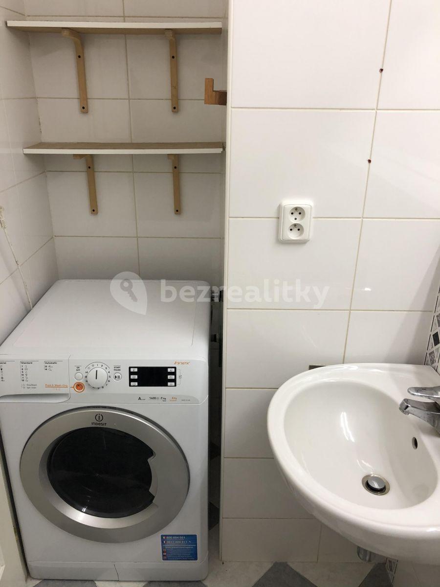 1 bedroom with open-plan kitchen flat to rent, 33 m², Mozartova, Prague, Prague