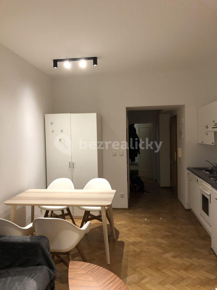 1 bedroom with open-plan kitchen flat to rent, 33 m², Mozartova, Prague, Prague