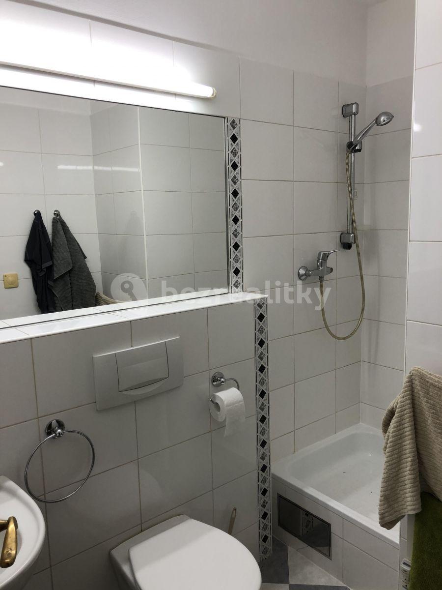 1 bedroom with open-plan kitchen flat to rent, 33 m², Mozartova, Prague, Prague