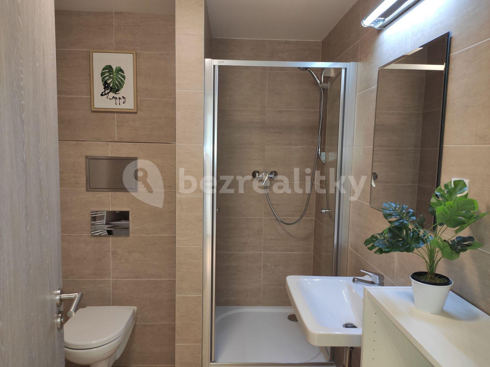 1 bedroom flat to rent, 47 m², Moravcových, Prague, Prague