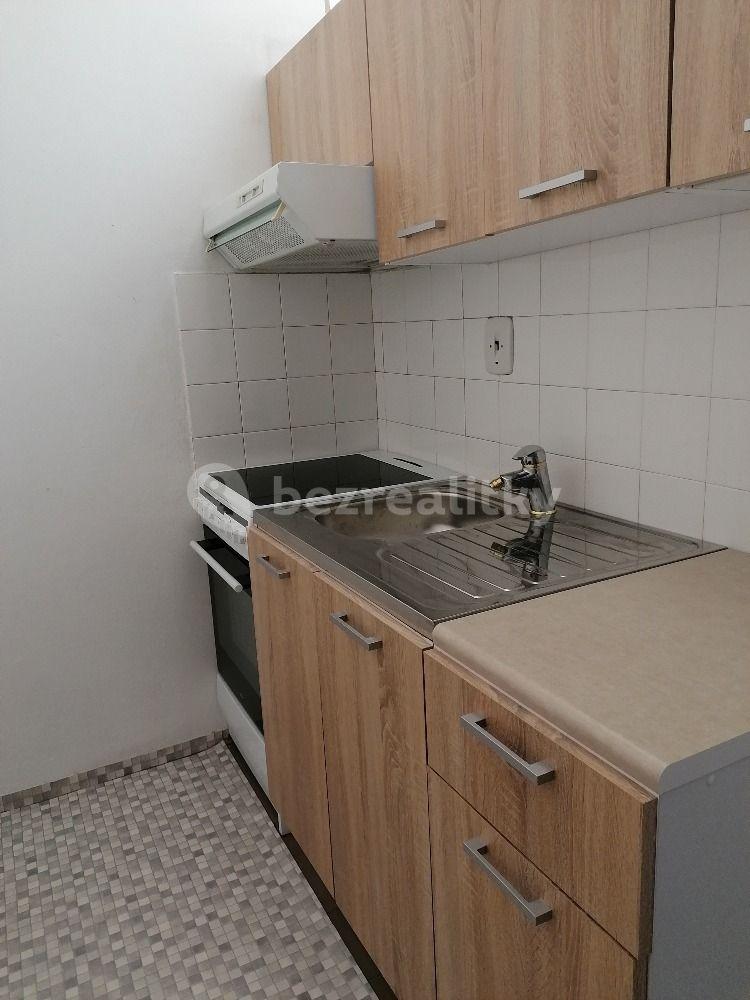 1 bedroom with open-plan kitchen flat to rent, 52 m², Ukrajinská, Brno, Jihomoravský Region