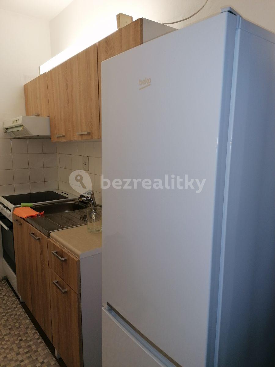 1 bedroom with open-plan kitchen flat to rent, 52 m², Ukrajinská, Brno, Jihomoravský Region