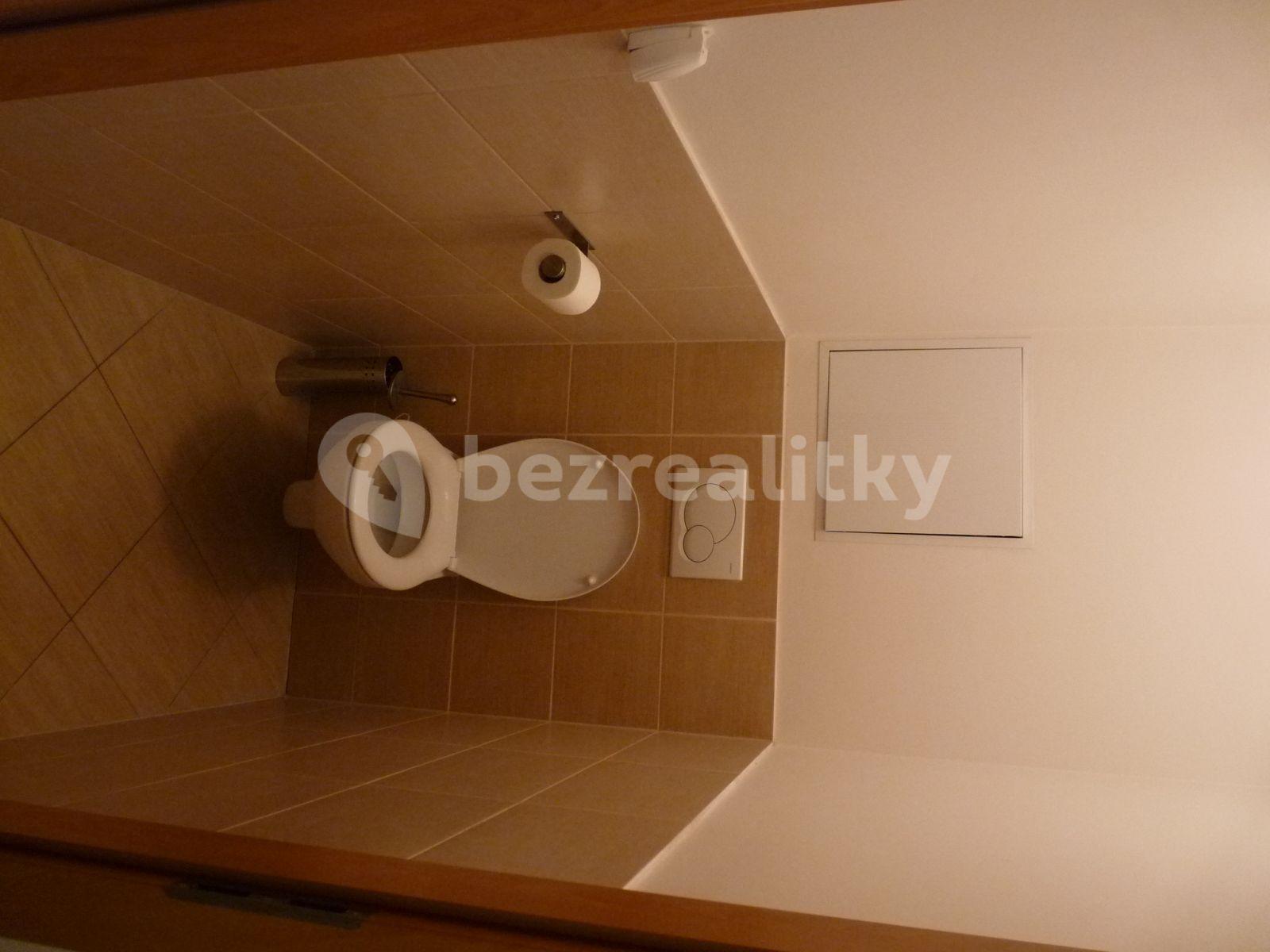 1 bedroom with open-plan kitchen flat to rent, 61 m², Chlebovická, Prague, Prague