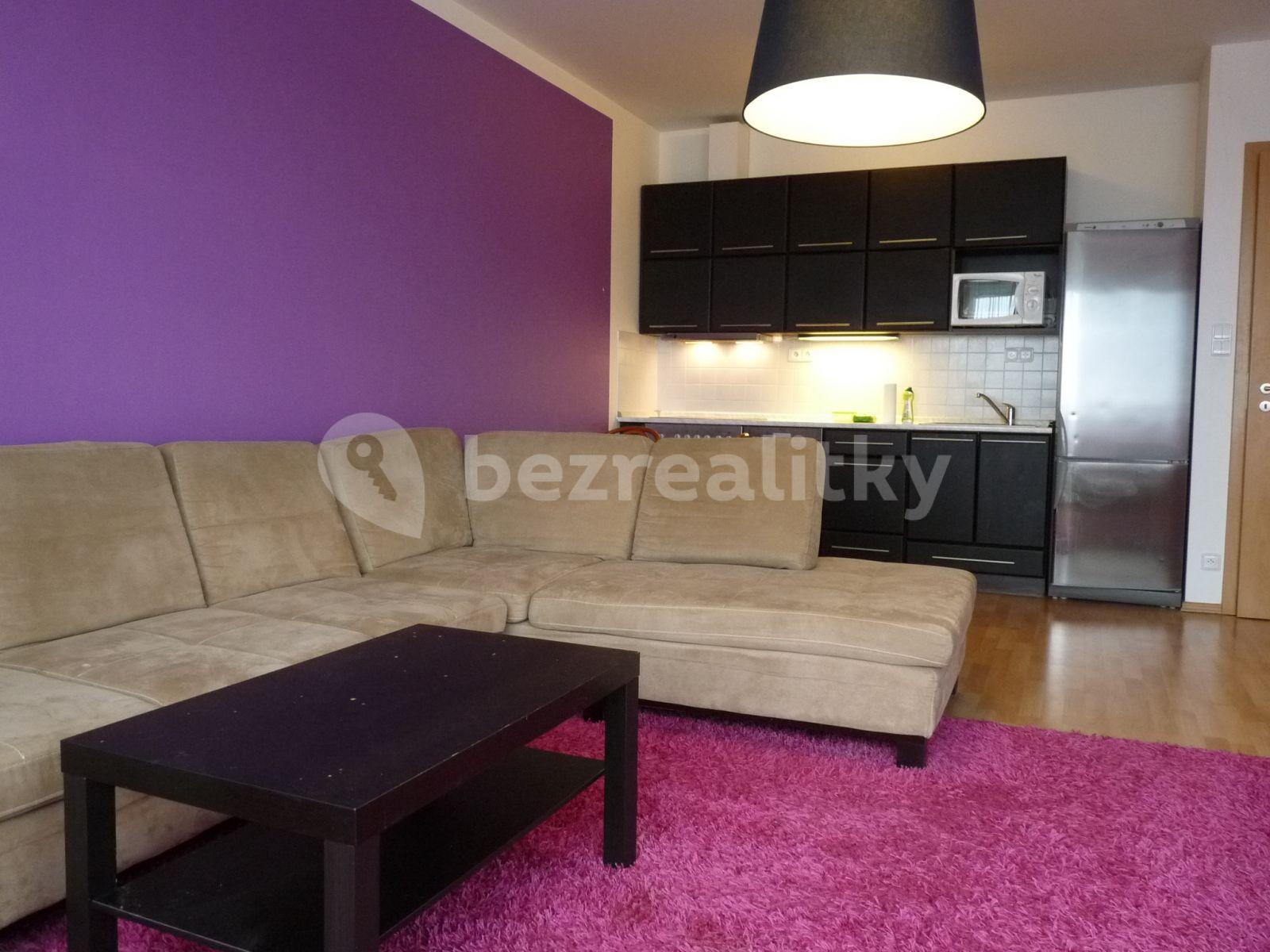 1 bedroom with open-plan kitchen flat to rent, 61 m², Chlebovická, Prague, Prague