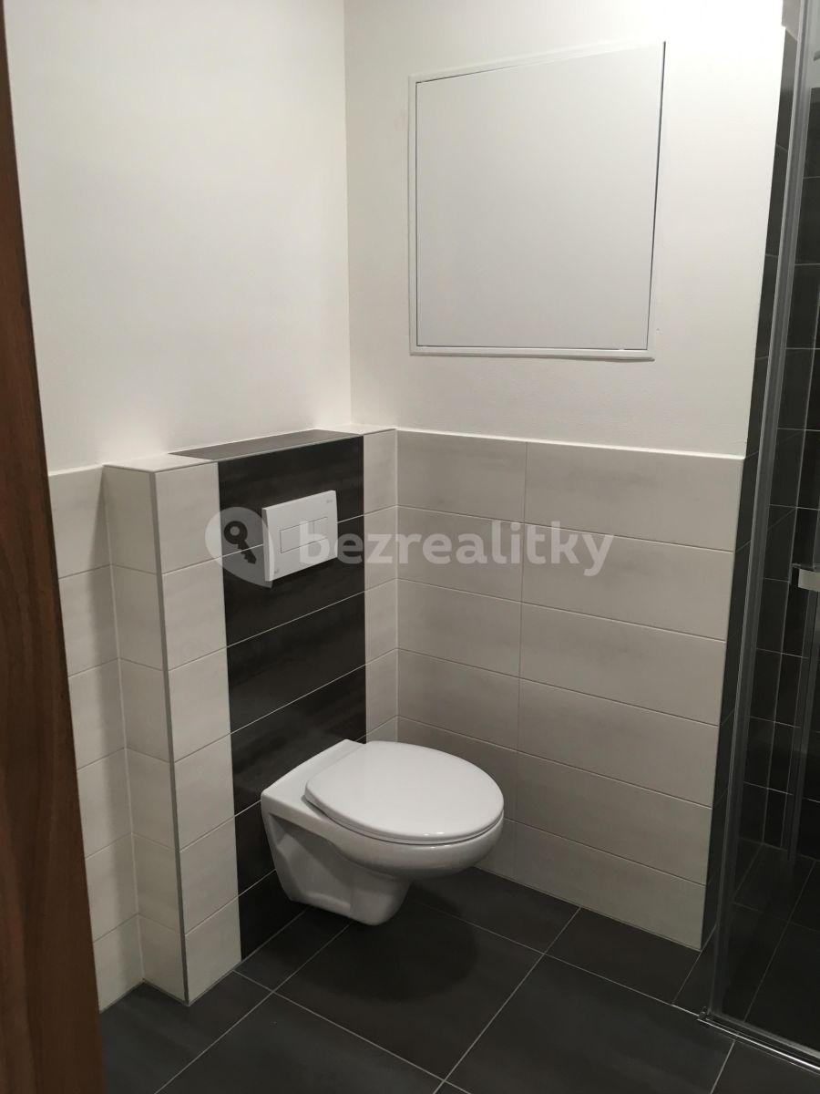 Studio flat to rent, 30 m², Topolová, Olomouc, Olomoucký Region