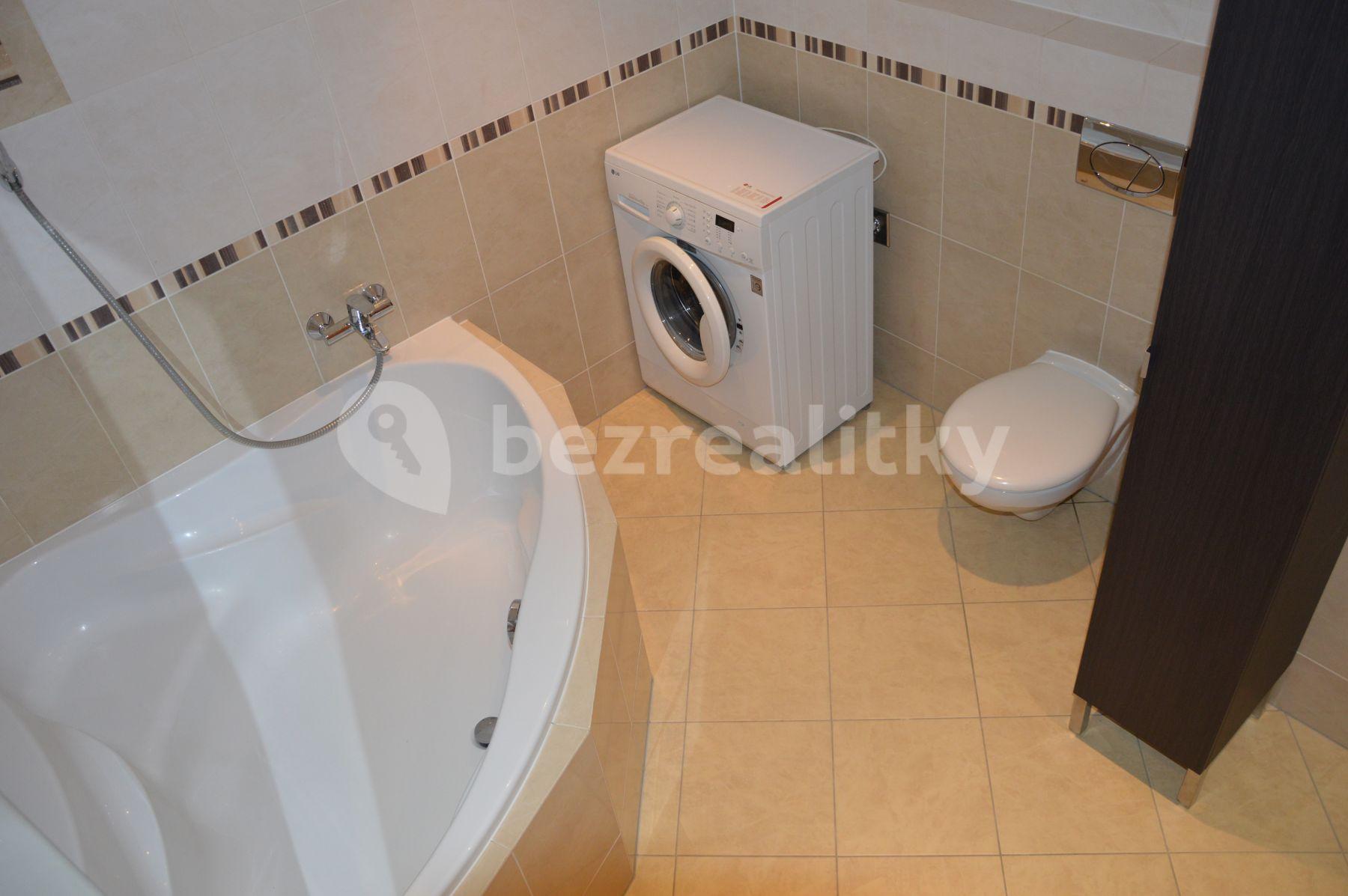 1 bedroom with open-plan kitchen flat to rent, 57 m², Tlumačovská, Prague, Prague