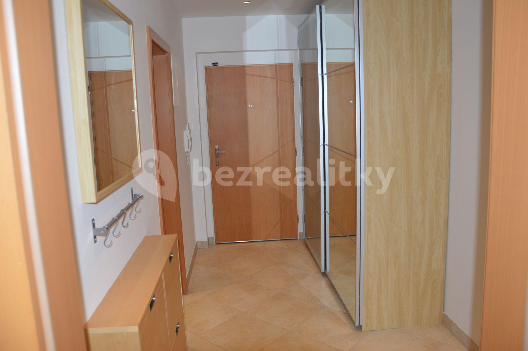 1 bedroom with open-plan kitchen flat to rent, 57 m², Tlumačovská, Prague, Prague