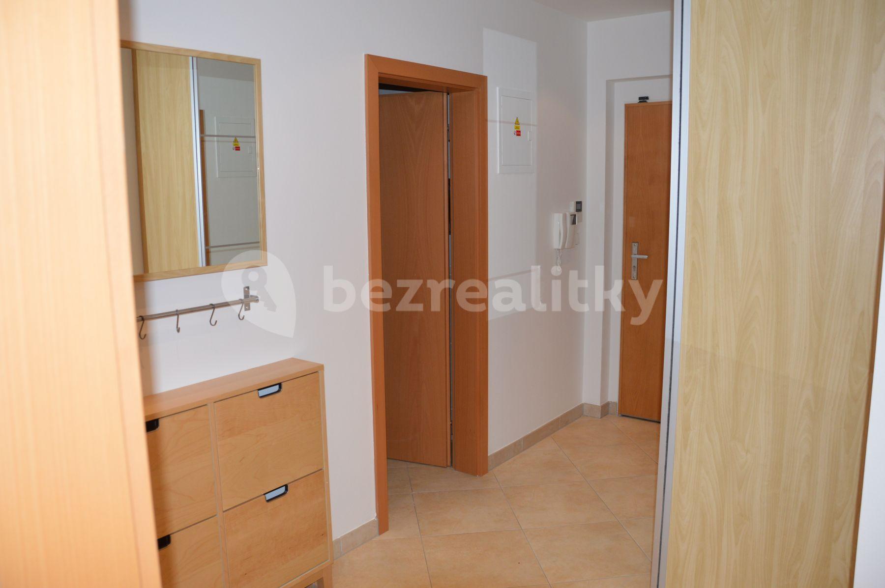 1 bedroom with open-plan kitchen flat to rent, 57 m², Tlumačovská, Prague, Prague