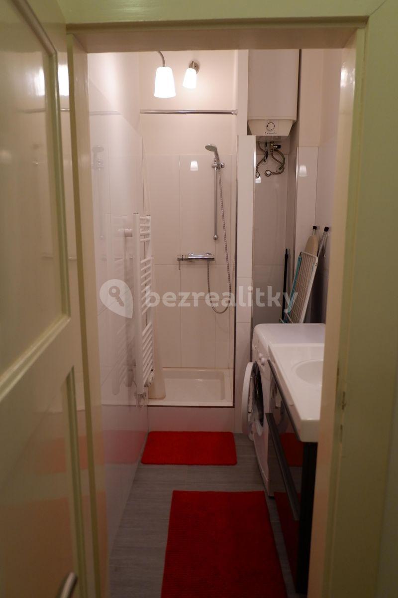 1 bedroom with open-plan kitchen flat to rent, 44 m², Na Dolinách, Prague, Prague