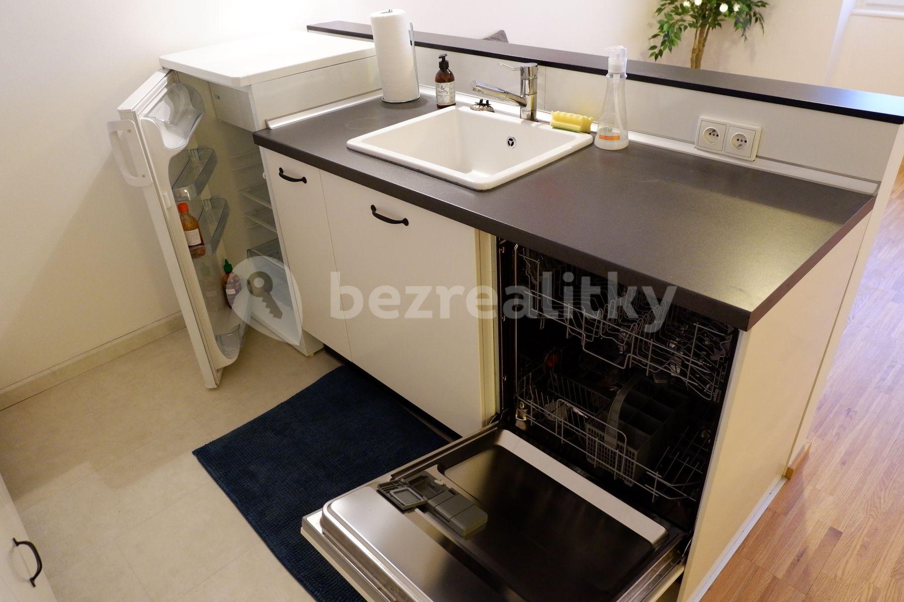 1 bedroom with open-plan kitchen flat to rent, 44 m², Na Dolinách, Prague, Prague