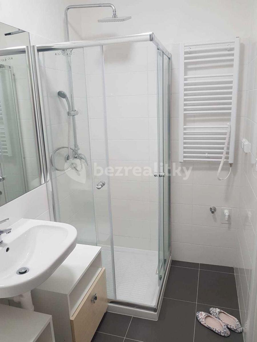 Small studio flat to rent, 23 m², Peroutkova, Prague, Prague