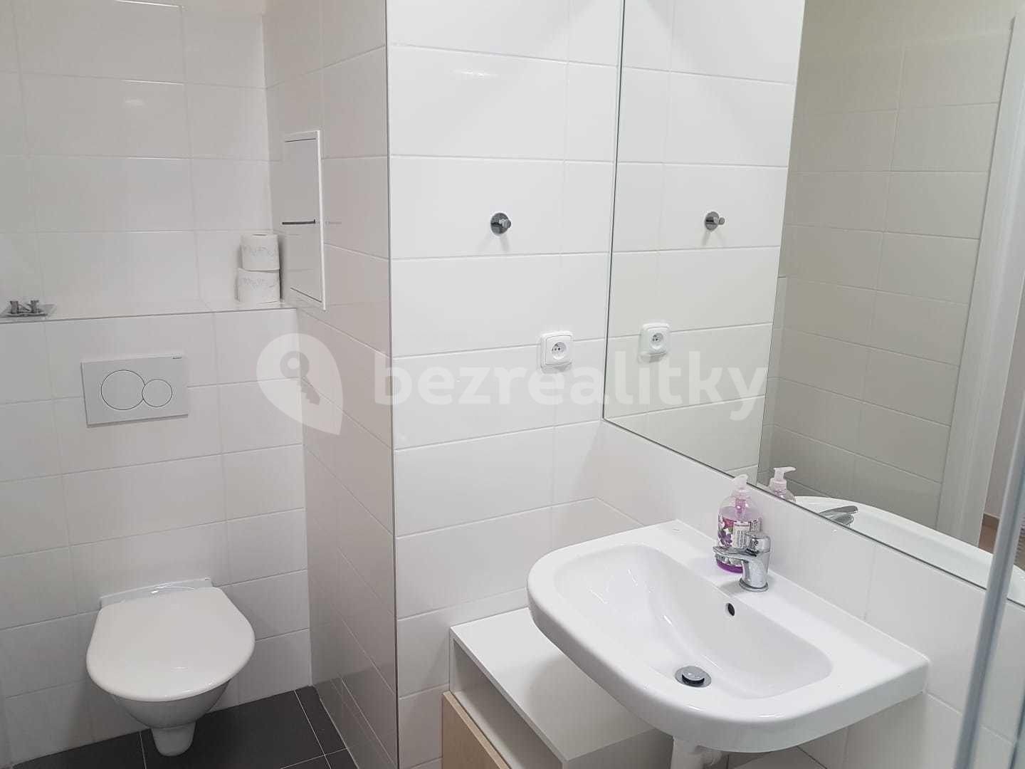 Small studio flat to rent, 23 m², Peroutkova, Prague, Prague