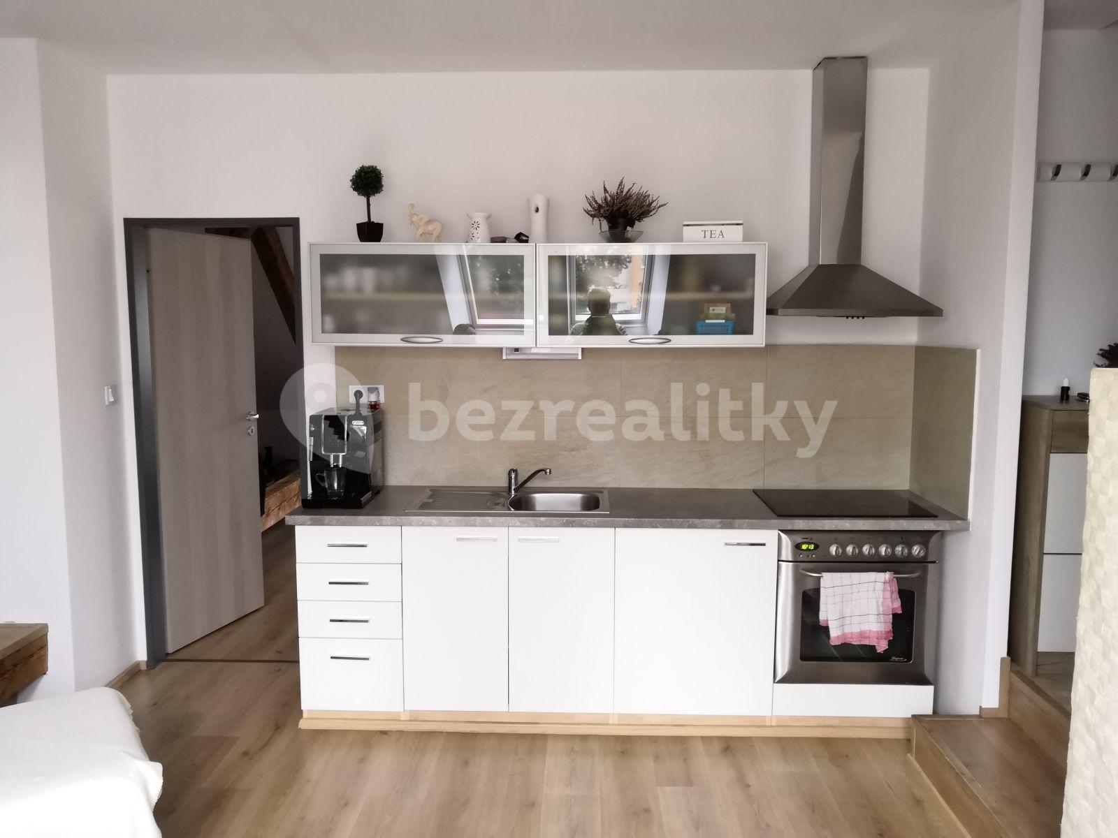 1 bedroom with open-plan kitchen flat to rent, 55 m², Dobrovodská, České Budějovice, Jihočeský Region