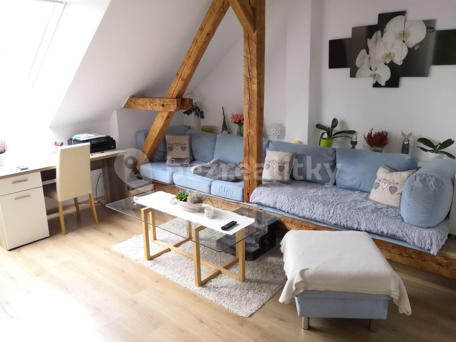 1 bedroom with open-plan kitchen flat to rent, 55 m², Dobrovodská, České Budějovice, Jihočeský Region