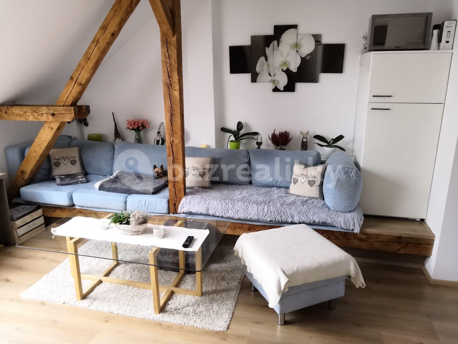 1 bedroom with open-plan kitchen flat to rent, 55 m², Dobrovodská, České Budějovice, Jihočeský Region