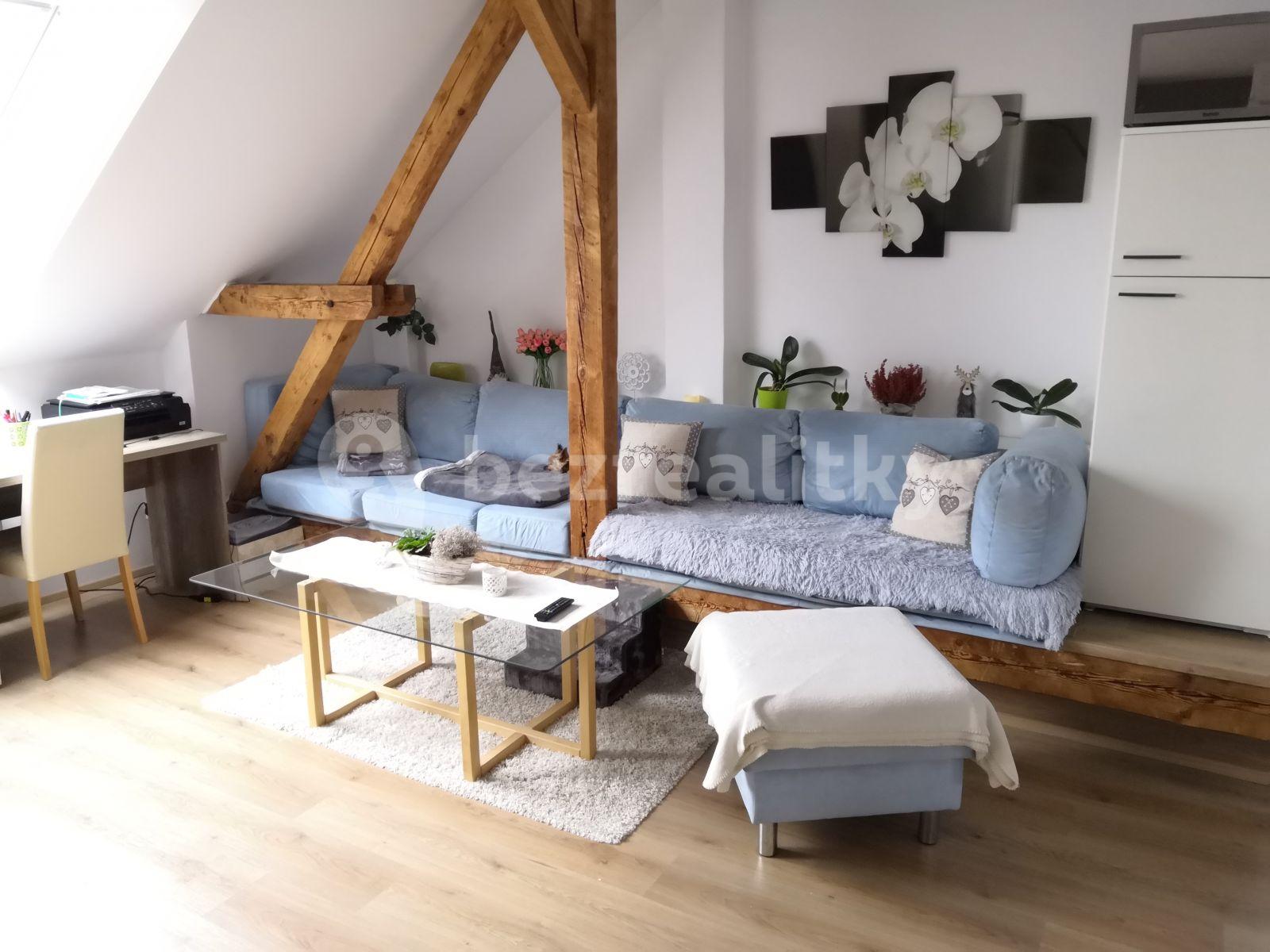 1 bedroom with open-plan kitchen flat to rent, 55 m², Dobrovodská, České Budějovice, Jihočeský Region