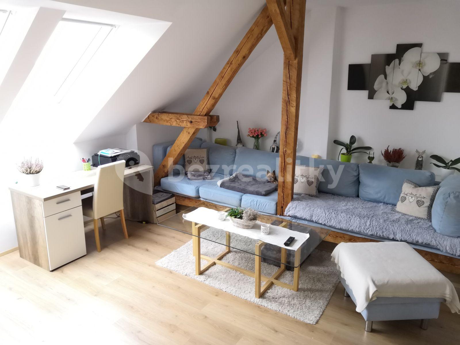 1 bedroom with open-plan kitchen flat to rent, 55 m², Dobrovodská, České Budějovice, Jihočeský Region