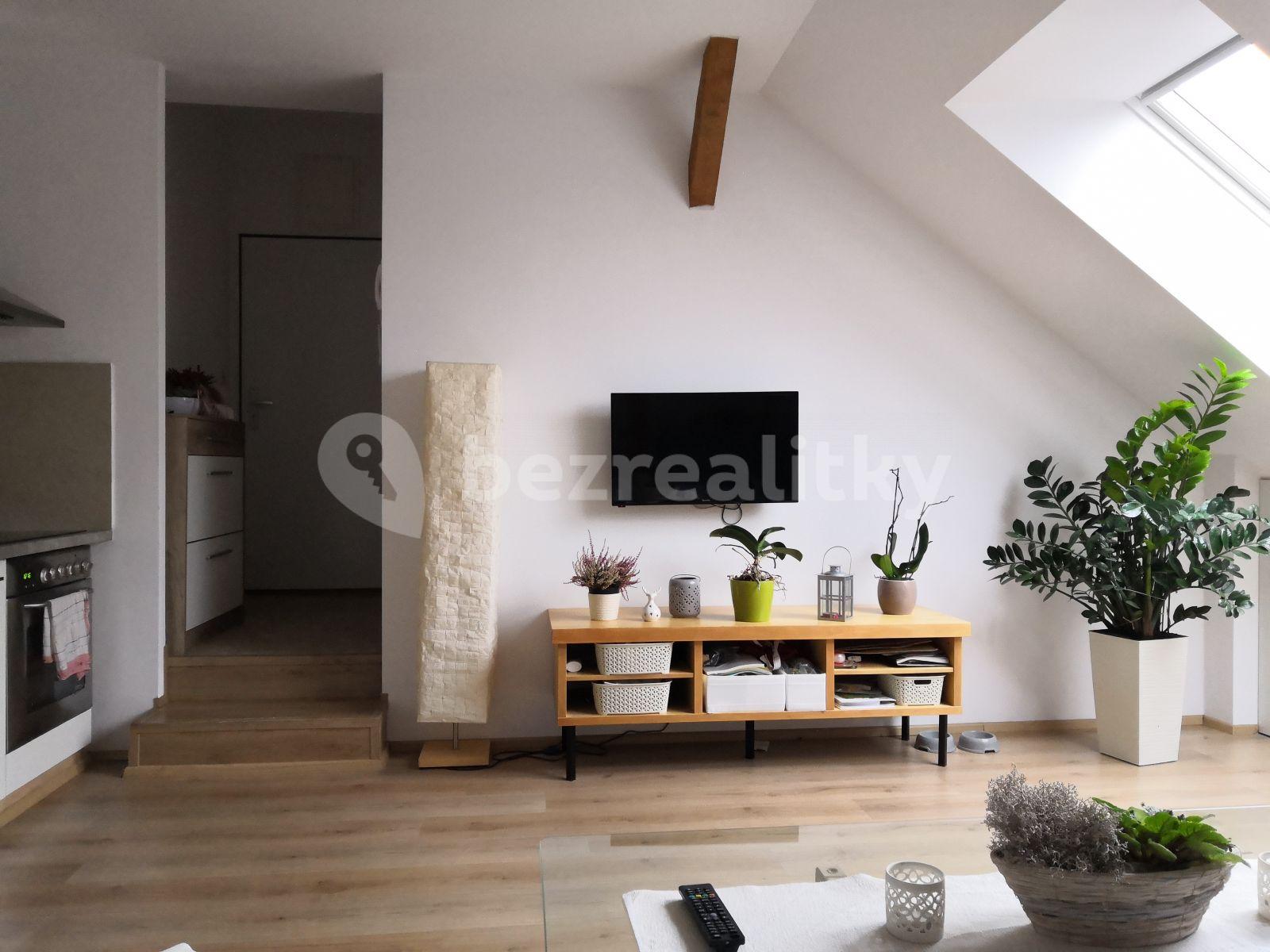 1 bedroom with open-plan kitchen flat to rent, 55 m², Dobrovodská, České Budějovice, Jihočeský Region