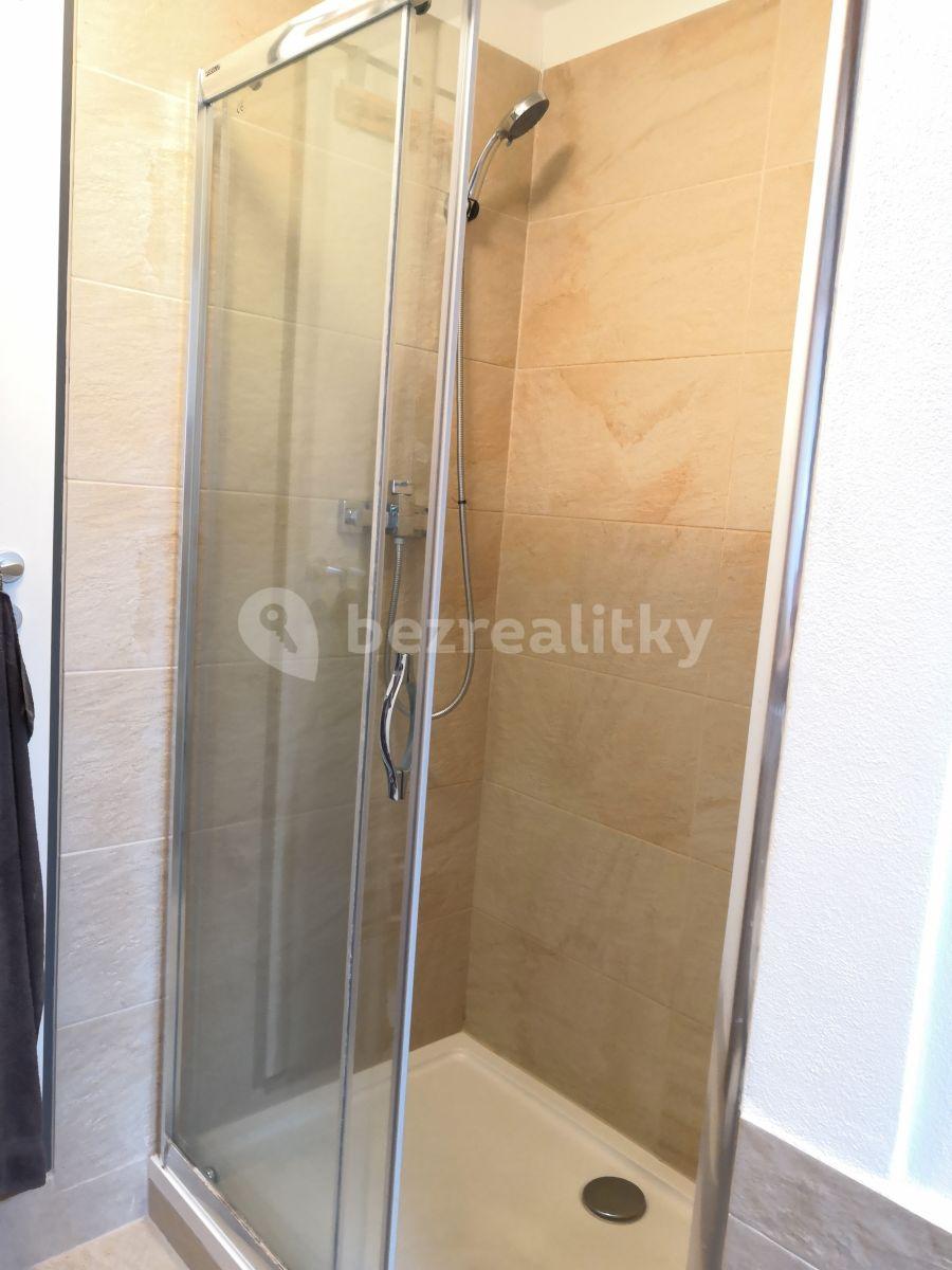 1 bedroom with open-plan kitchen flat to rent, 55 m², Dobrovodská, České Budějovice, Jihočeský Region