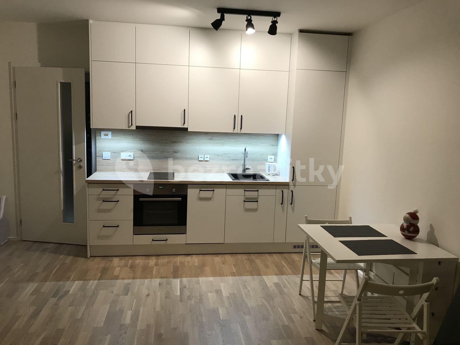 Studio flat to rent, 39 m², Za Strašnickou vozovnou, Prague, Prague