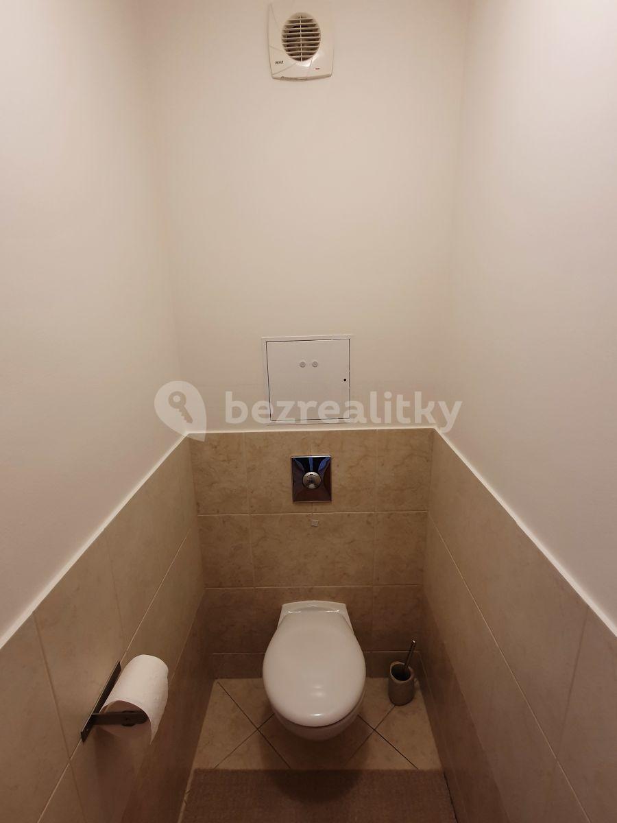 1 bedroom with open-plan kitchen flat to rent, 60 m², Nová Kolonie, Prague, Prague