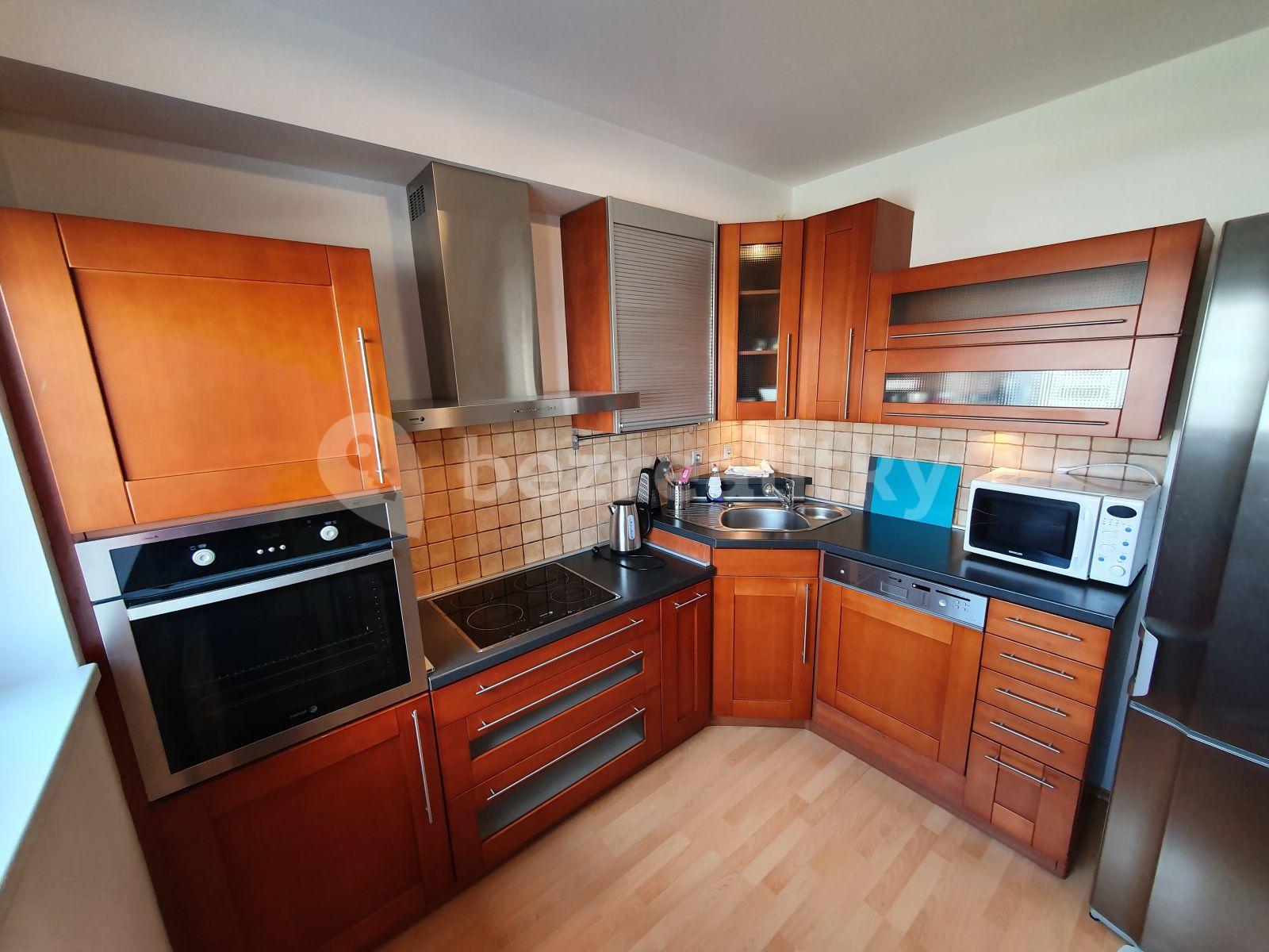 1 bedroom with open-plan kitchen flat to rent, 60 m², Nová Kolonie, Prague, Prague