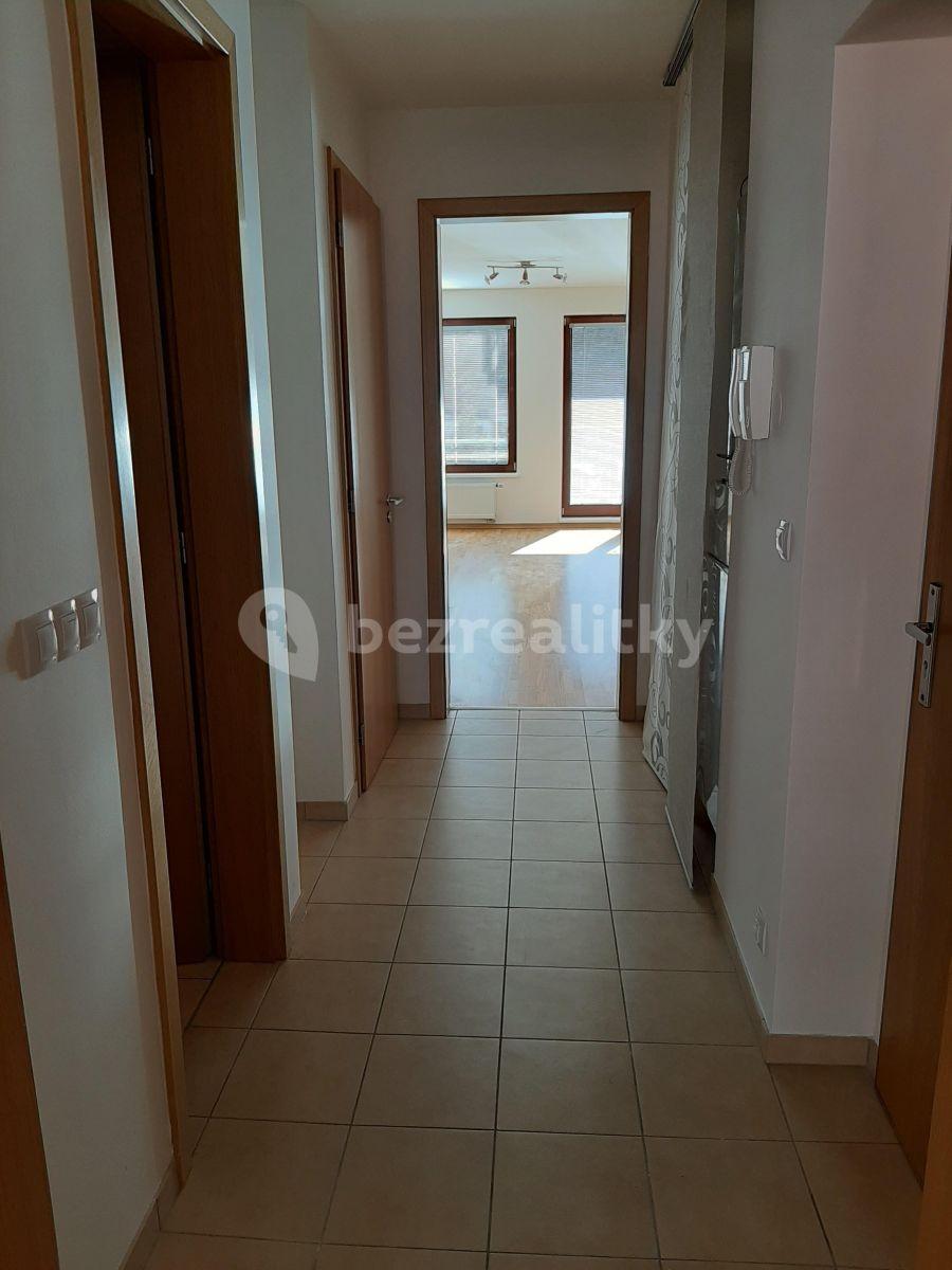 1 bedroom with open-plan kitchen flat to rent, 56 m², Musílkova, Prague, Prague