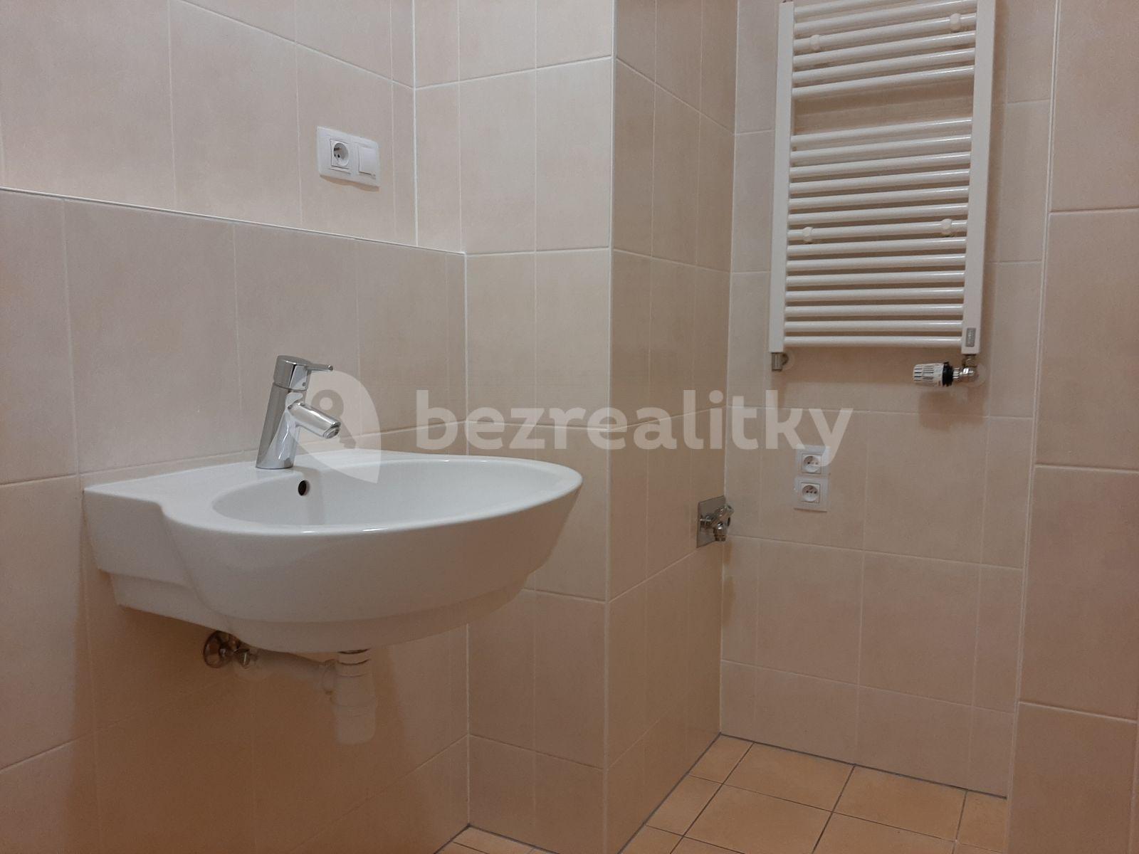 1 bedroom with open-plan kitchen flat to rent, 56 m², Musílkova, Prague, Prague