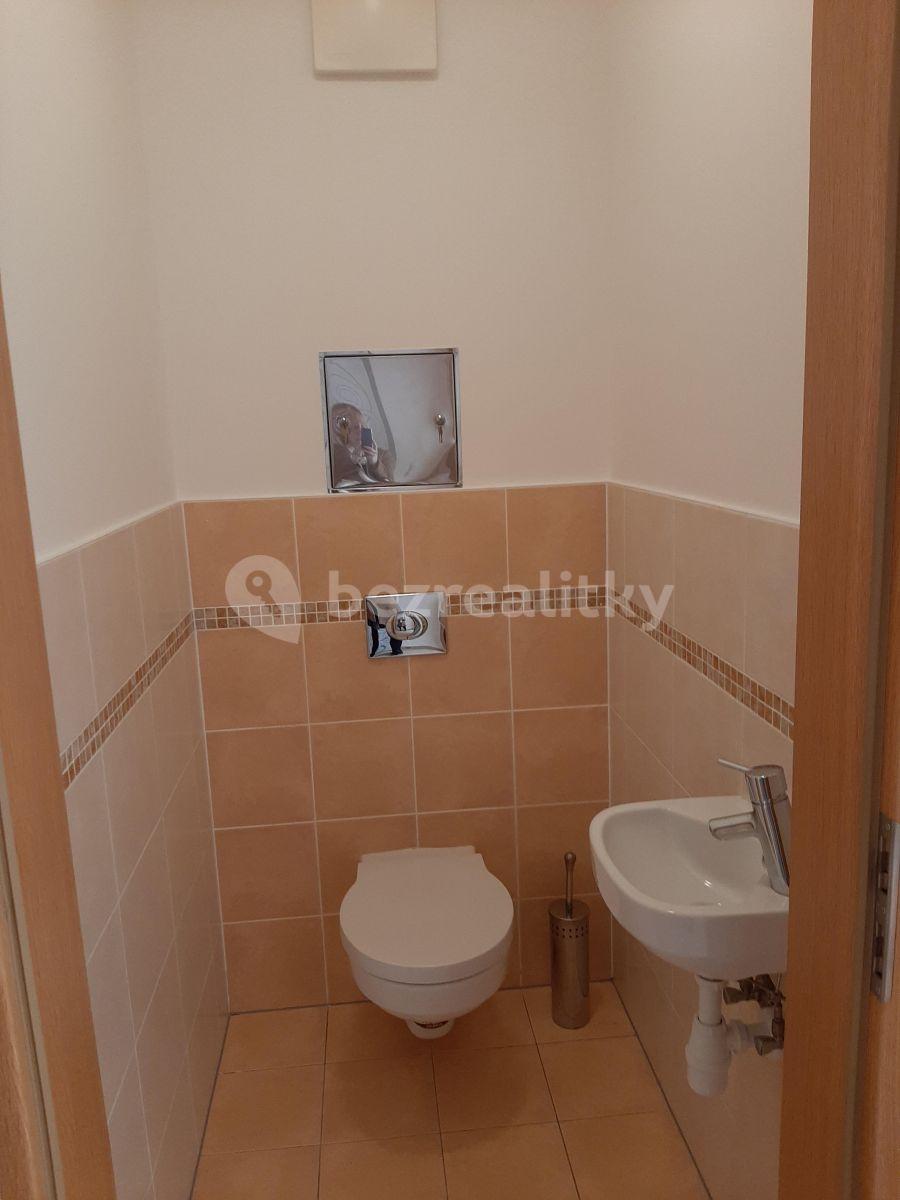 1 bedroom with open-plan kitchen flat to rent, 56 m², Musílkova, Prague, Prague