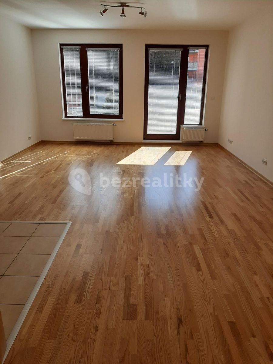 1 bedroom with open-plan kitchen flat to rent, 56 m², Musílkova, Prague, Prague