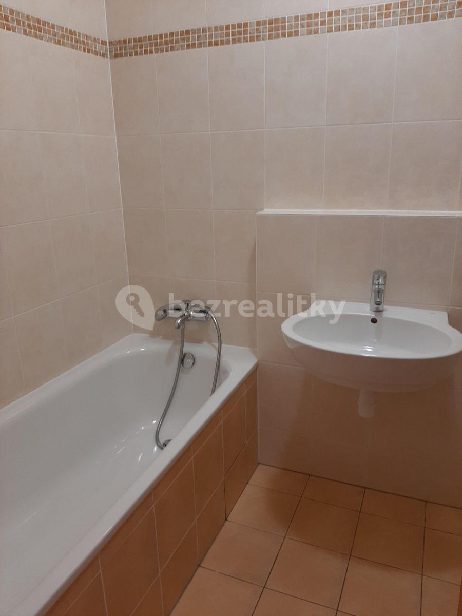 1 bedroom with open-plan kitchen flat to rent, 56 m², Musílkova, Prague, Prague