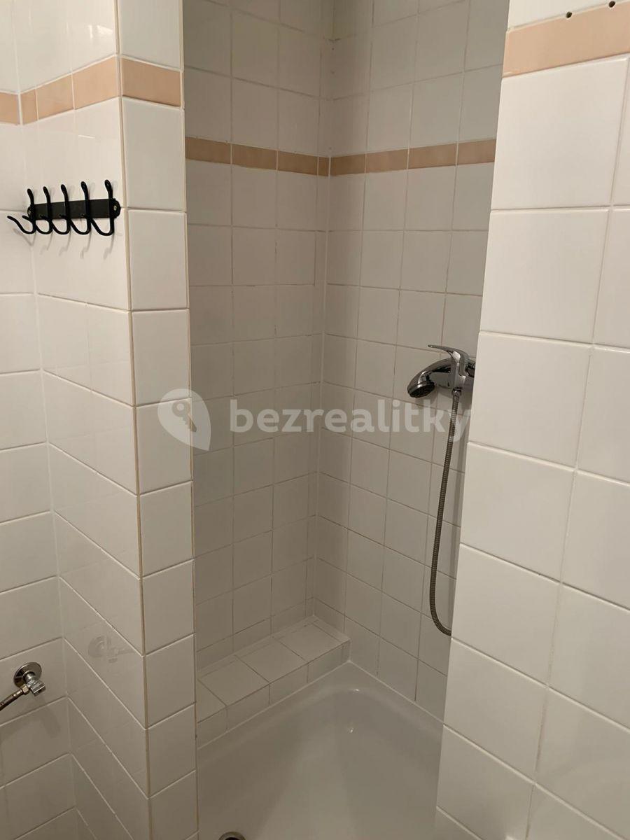 Small studio flat to rent, 25 m², Kováků, Prague, Prague