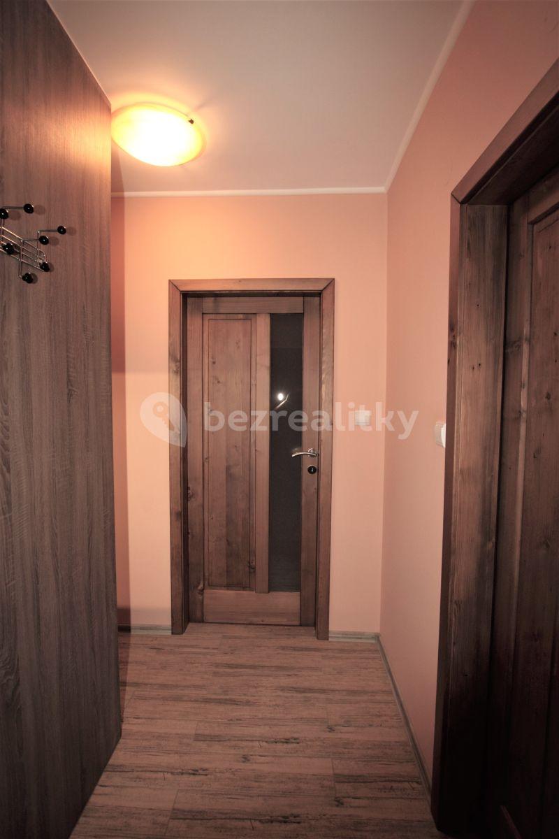 1 bedroom with open-plan kitchen flat to rent, 47 m², Převoznická, Prague, Prague