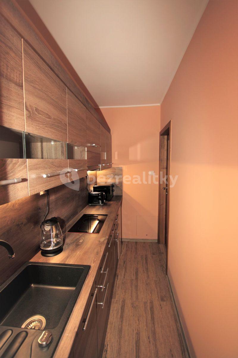 1 bedroom with open-plan kitchen flat to rent, 47 m², Převoznická, Prague, Prague