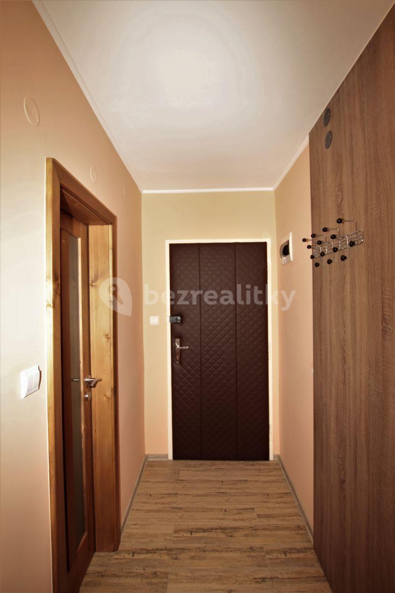 1 bedroom with open-plan kitchen flat to rent, 47 m², Převoznická, Prague, Prague