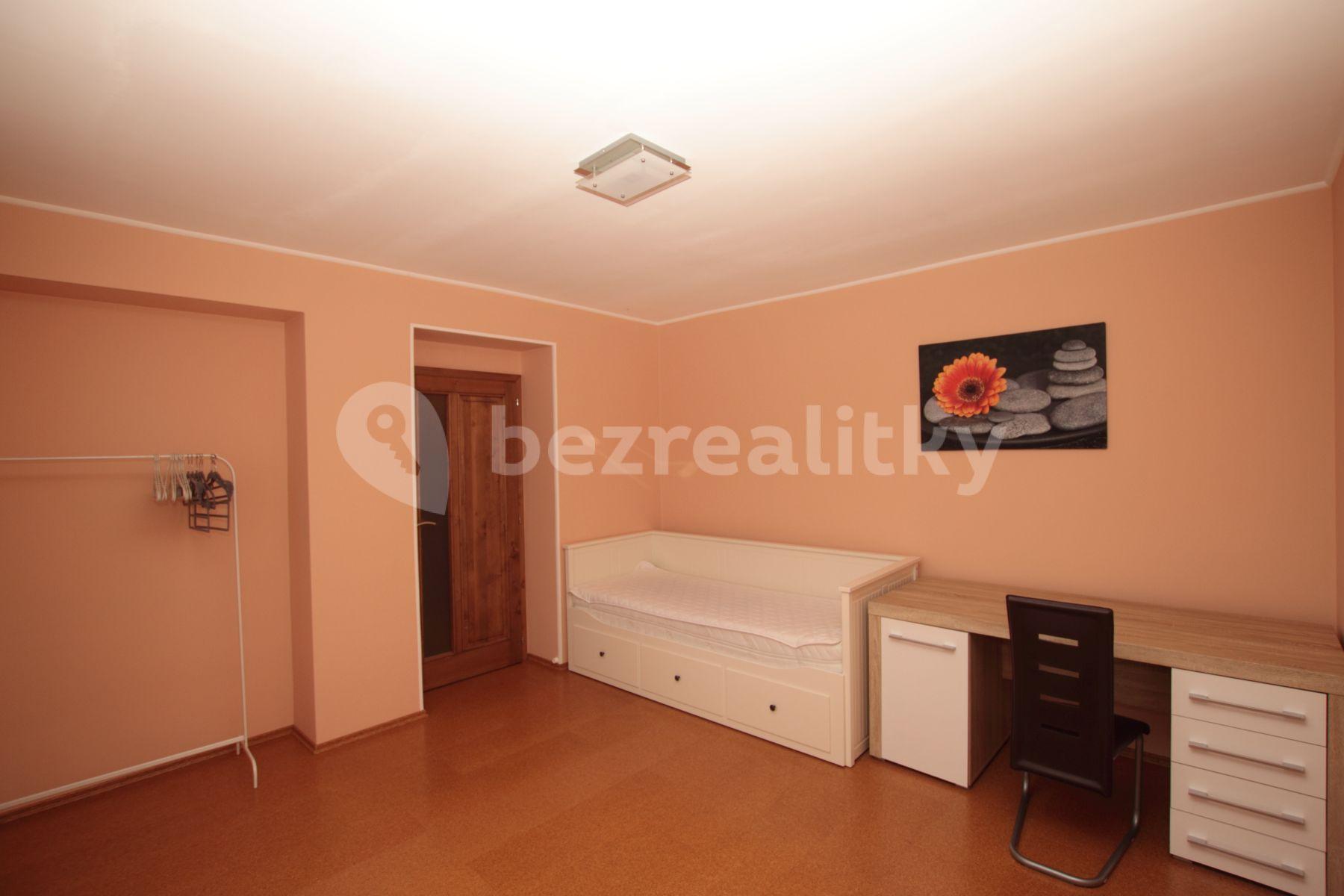 1 bedroom with open-plan kitchen flat to rent, 47 m², Převoznická, Prague, Prague