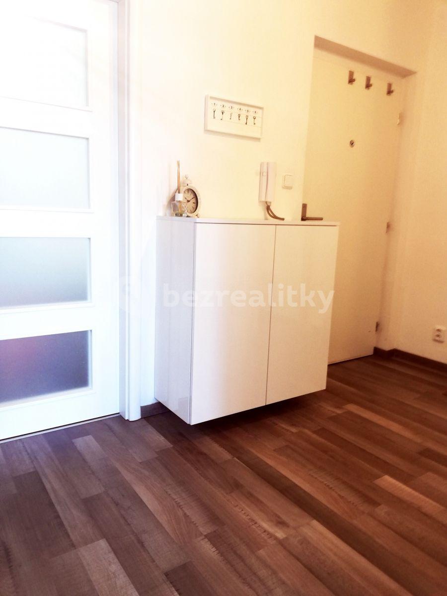 1 bedroom with open-plan kitchen flat to rent, 74 m², Svatoplukova, Brno, Jihomoravský Region