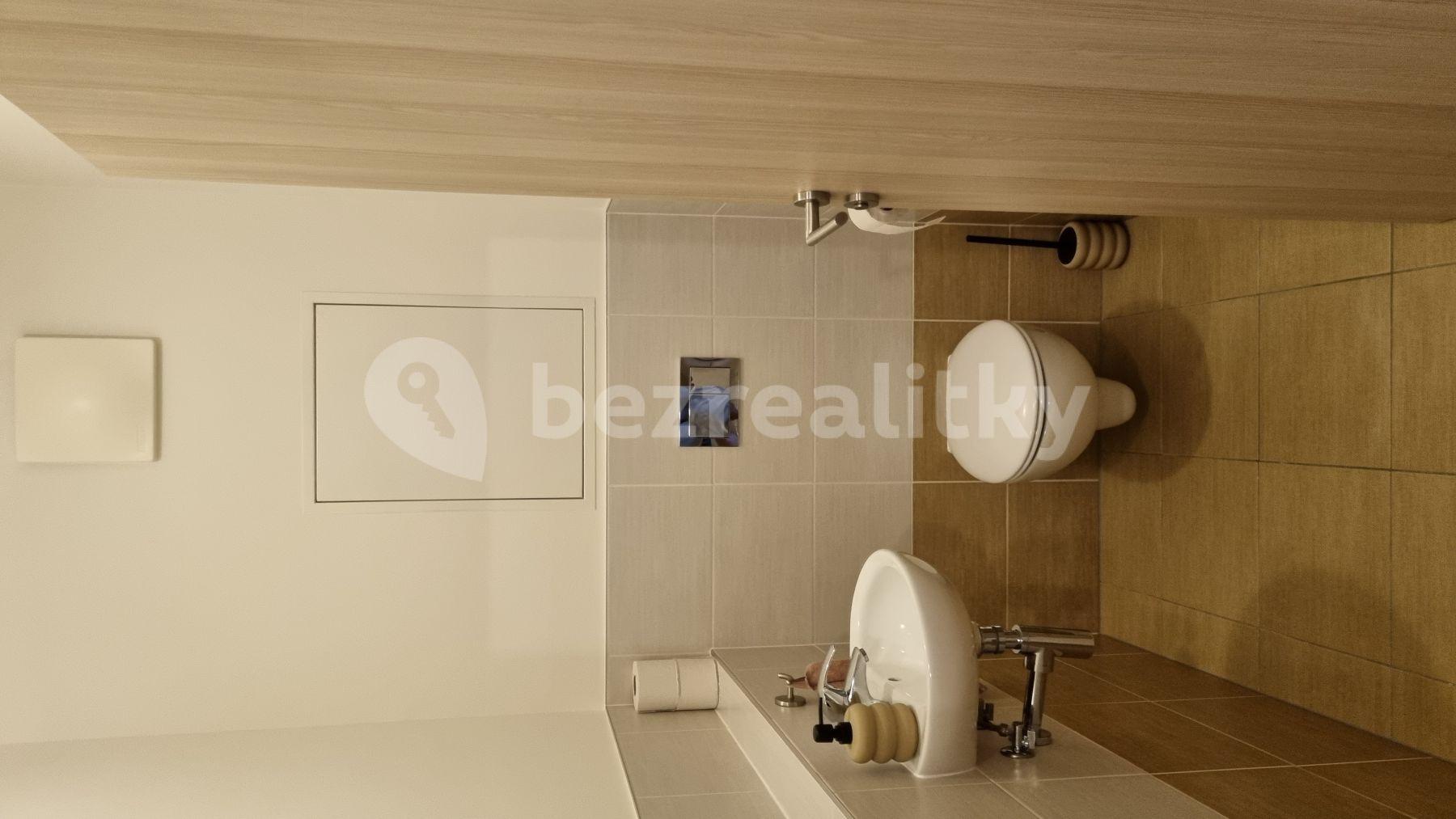 1 bedroom with open-plan kitchen flat to rent, 54 m², Kurta Konráda, Prague, Prague