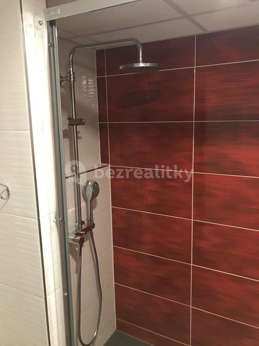 3 bedroom with open-plan kitchen flat to rent, 86 m², Vršovická, Prague, Prague