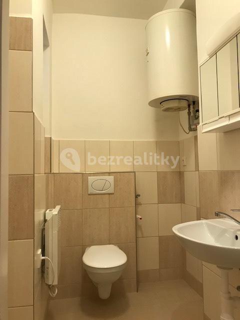 1 bedroom flat to rent, 32 m², Bořivojova, Prague, Prague