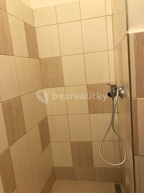 1 bedroom flat to rent, 32 m², Bořivojova, Prague, Prague